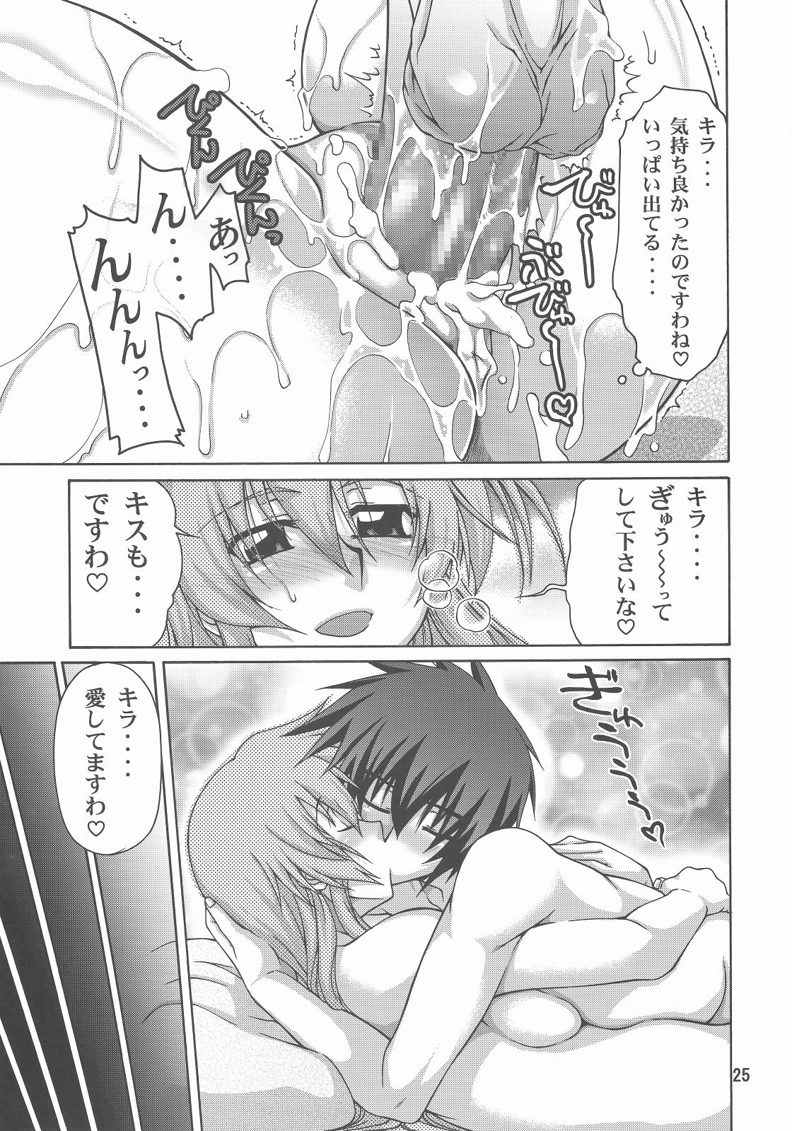(C73) [GOLD RUSH (Suzuki Address)] A Diva of Healing IV (Gundam SEED DESTINY) page 25 full