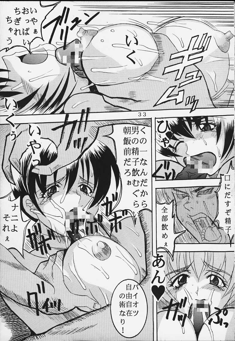 (C58) [St. Rio (Kitty)] DANDIZM 2000 Nakadashi Millennium (Dead or Alive) page 32 full