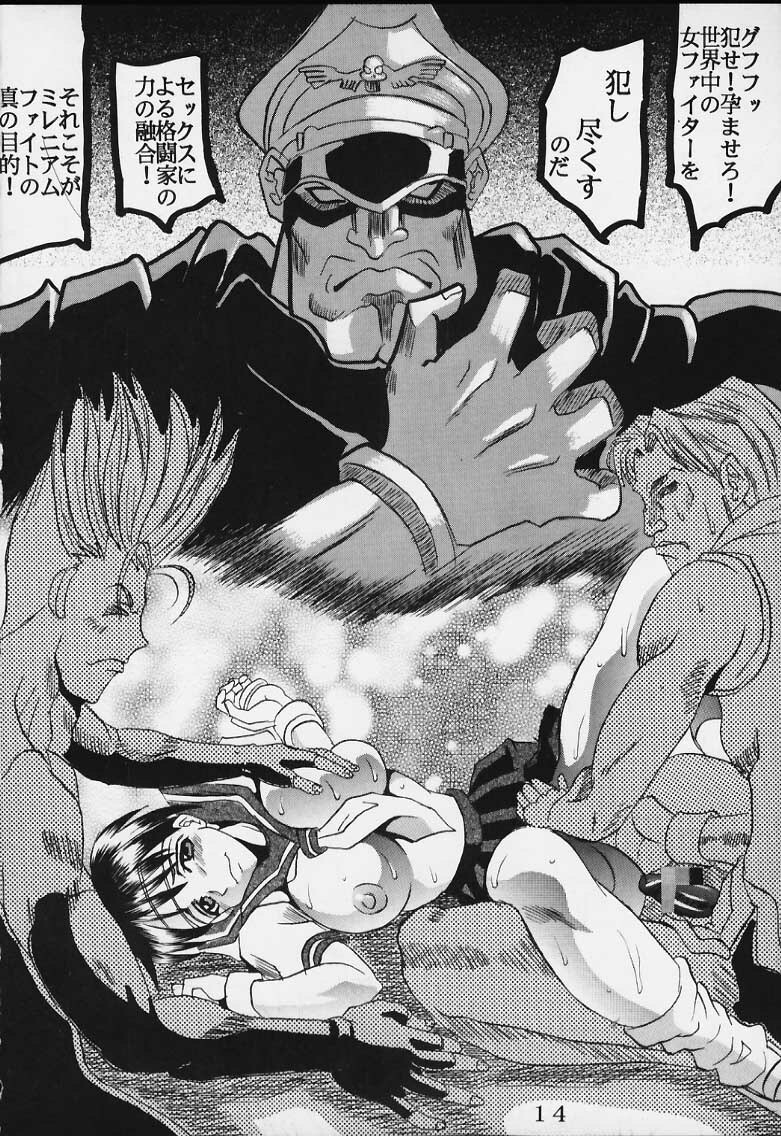 (C69) [St. Rio (Kitty)] Dandizum Nakadasi 2000 Capcom VS SNK (Capcom VS SNK) page 14 full