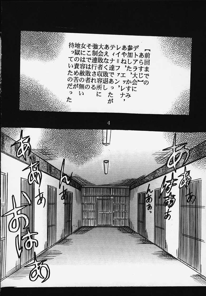 (C58) [St. Rio (Kitty)] DANDIZM 2000 Nakadashi Millennium [SECOND EDITION] (Dead or Alive) page 3 full