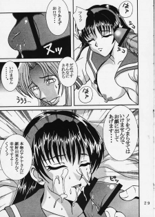 [St. Rio (Kitty, Kouenji Rei)] DANDIZM 2000 FORCE (King of Fighters) - page 28