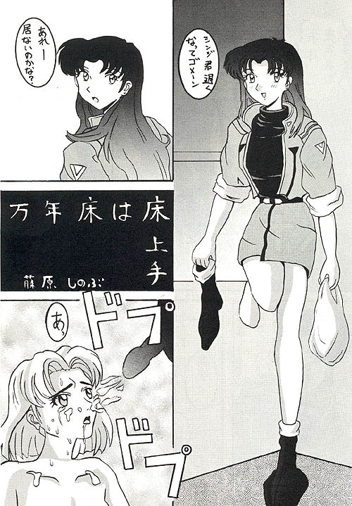 (C49) [Ayashige Dan (Various) Jinrui Hokan Keikaku 2 (Neon Genesis Evangelion) [Incomplete] page 1 full