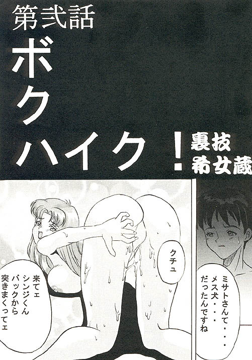 (C49) [Ayashige Dan (Various) Jinrui Hokan Keikaku 2 (Neon Genesis Evangelion) [Incomplete] page 18 full