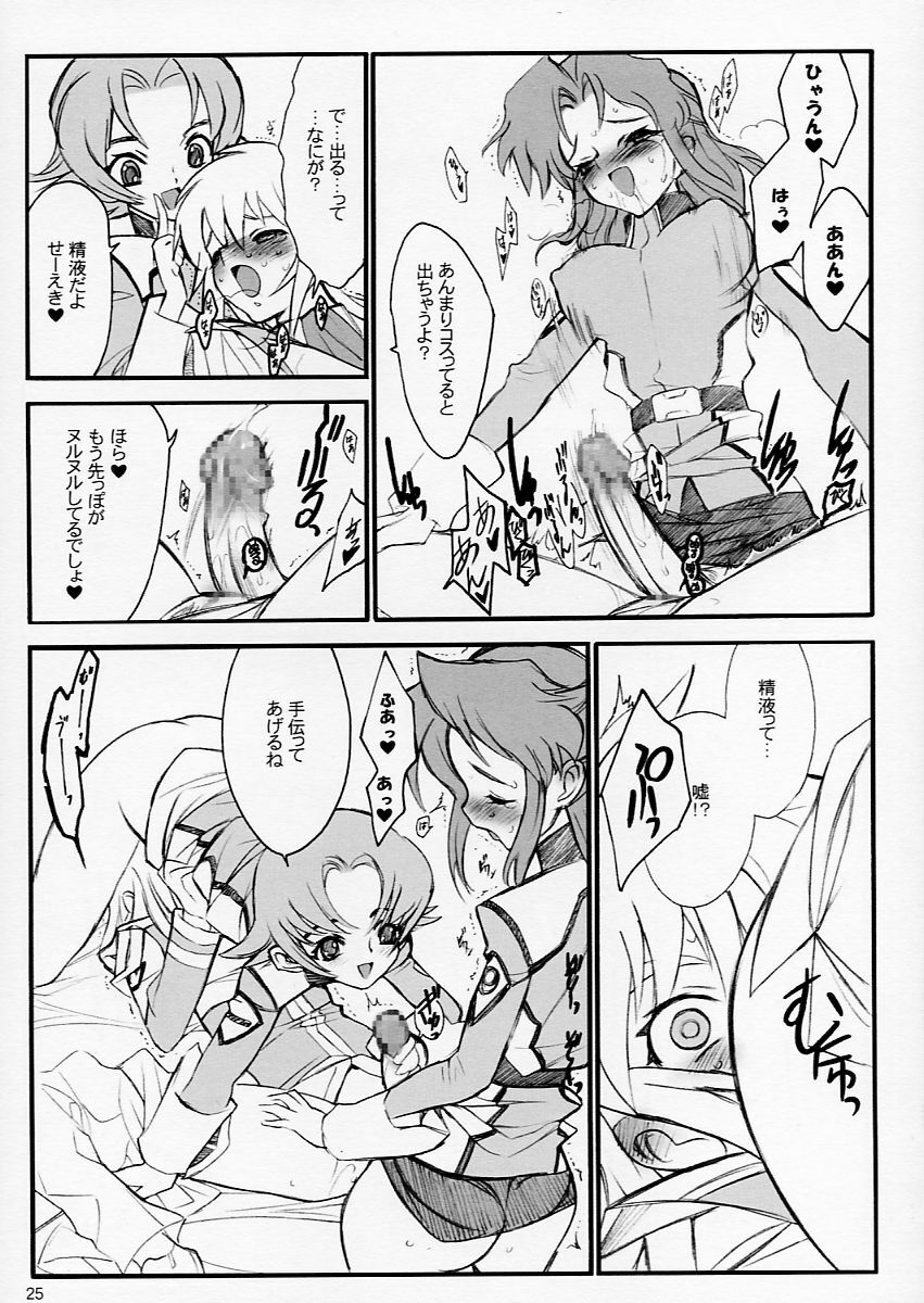 (C64) [Keumaya (Keuma)] Tane Bon (Gundam Seed) page 25 full