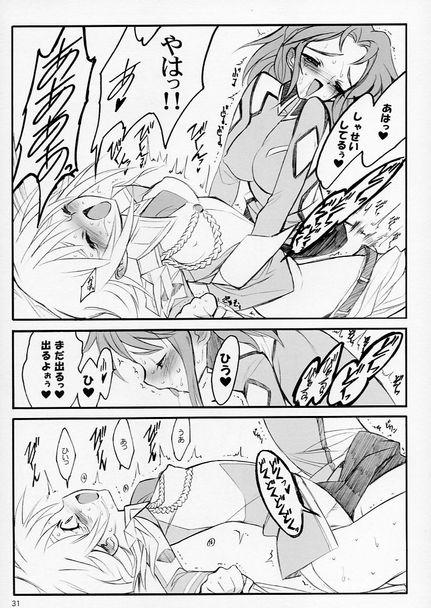 (C64) [Keumaya (Keuma)] Tane Bon (Gundam Seed) page 31 full