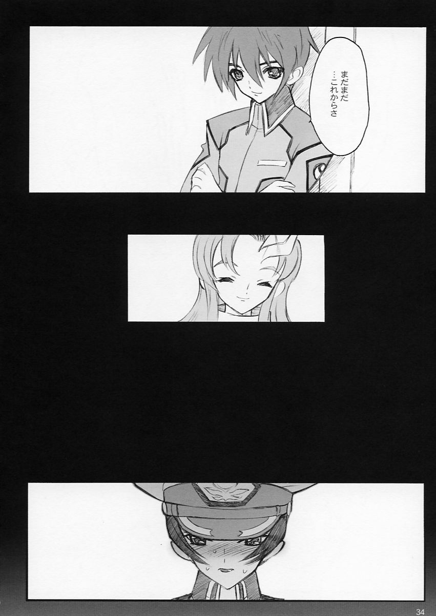 (C64) [Keumaya (Keuma)] Tane Bon (Gundam Seed) page 34 full