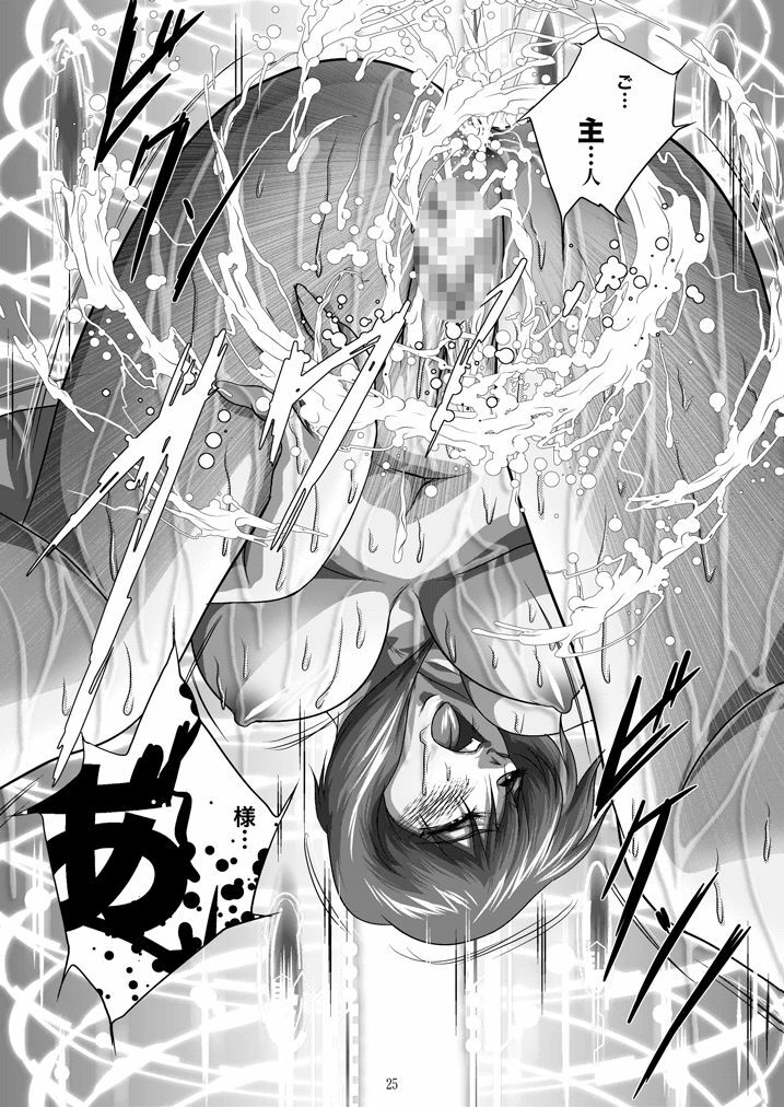 [Akiyama Kougyou (Mikazuki Shikou)] Dennou Bichiku (Ghost in the Shell) page 24 full