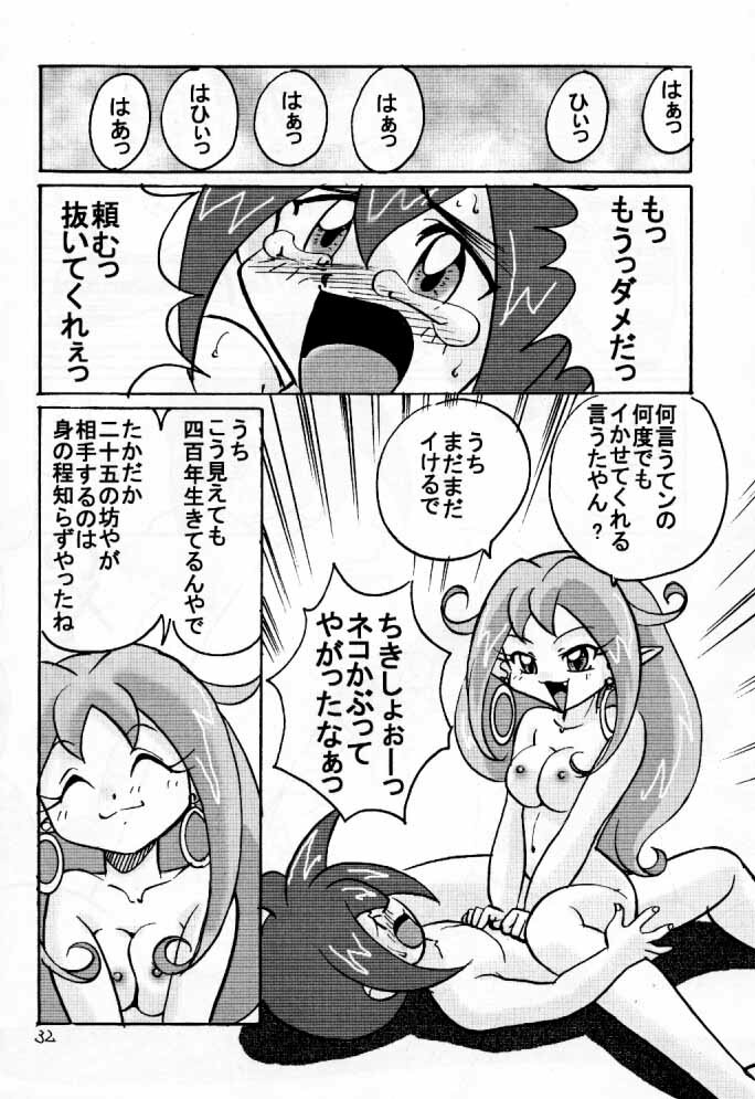 (C57) [First Class (Kazunekos)] Déjà Vu {Hitsuji no Maki} (Rockman DASH [Mega Man Legends]) page 31 full