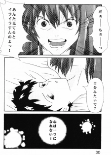 (C54) [System Speculation (Imai Youki)] LAST ANGEL (Neon Genesis Evangelion) - page 29