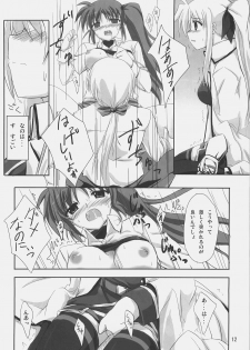 [Overcrowd (Kusakami Akira)] PN. (Mahou Shoujo Lyrical Nanoha) - page 11