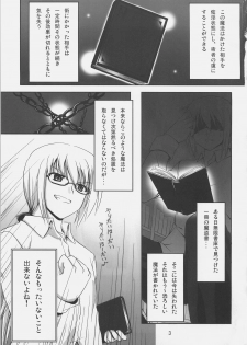 [Overcrowd (Kusakami Akira)] PN. (Mahou Shoujo Lyrical Nanoha) - page 2