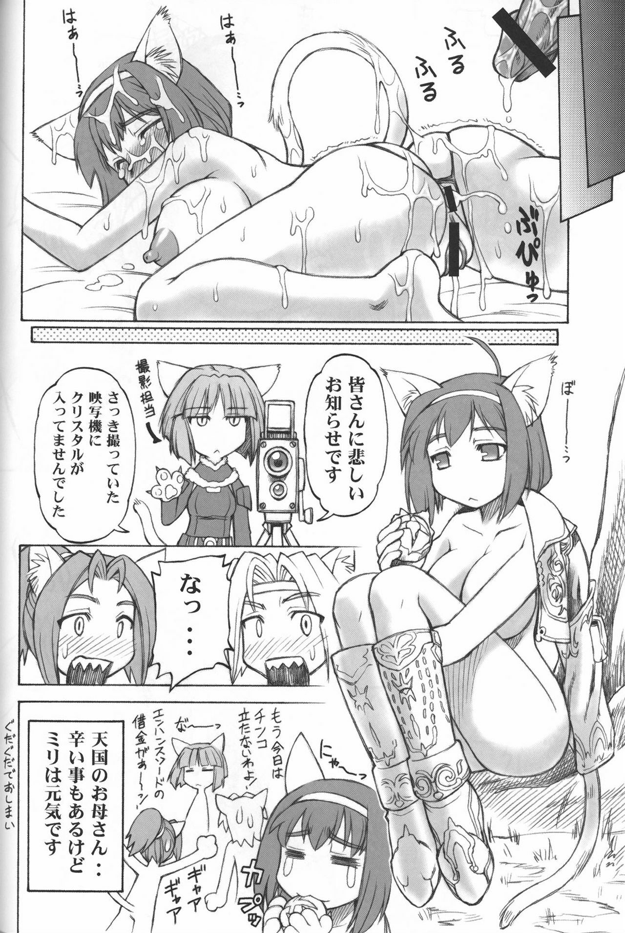 (C73) [JACK-O-LANTERN (EBIFLY, Neriwasabi)] Alterna Hajikemashita (Final Fantasy XI) page 45 full