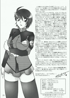 (CSP4) [Studio Kyawn (Murakami Masaki)] Scarlet Needle (Gundam SEED DESTINY) [English] [desudesu] - page 28