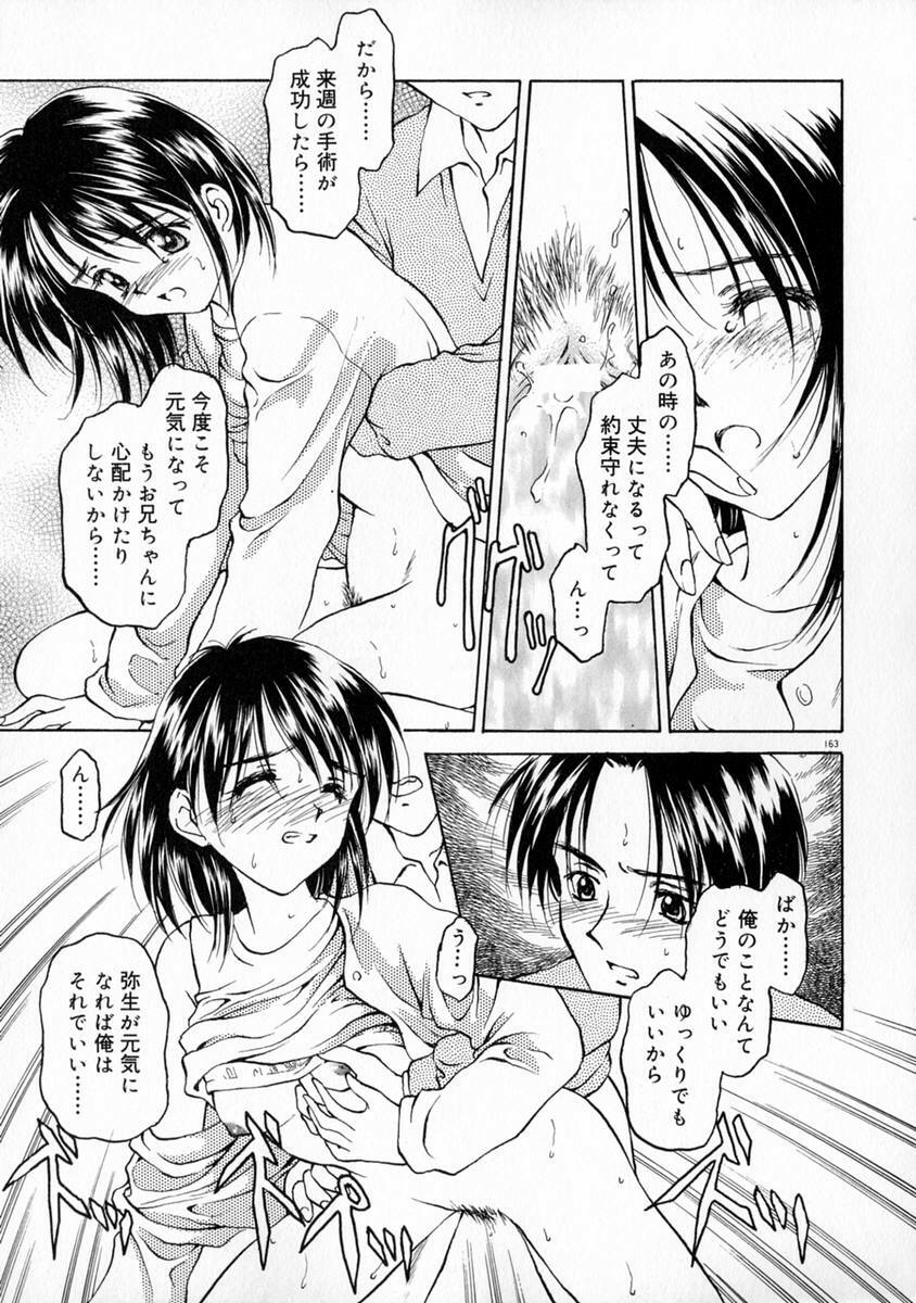 [Kageno Illyss] Manazashi page 169 full