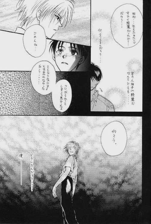 (C51) [Zaougumi (Zaou Taishi)] Lost Sheep (Neon Genesis Evangelion) page 11 full