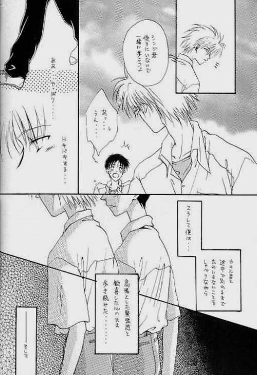 (C51) [Zaougumi (Zaou Taishi)] Lost Sheep (Neon Genesis Evangelion) page 14 full