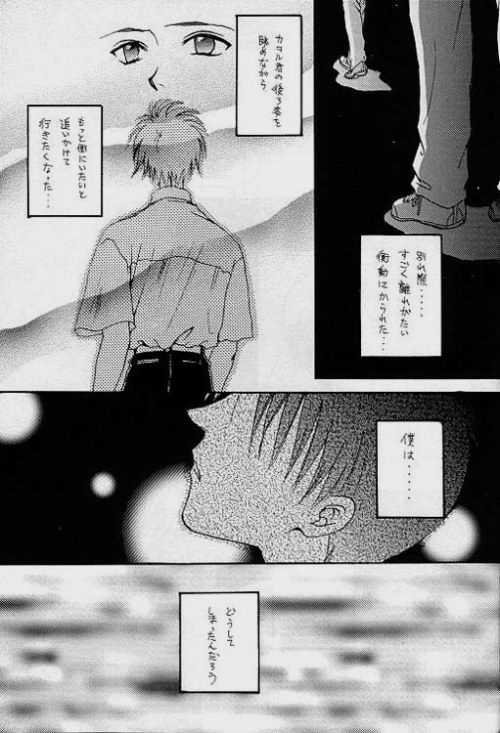 (C51) [Zaougumi (Zaou Taishi)] Lost Sheep (Neon Genesis Evangelion) page 15 full