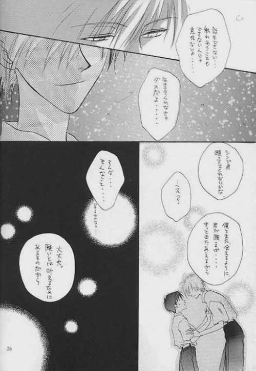 (C51) [Zaougumi (Zaou Taishi)] Lost Sheep (Neon Genesis Evangelion) page 22 full