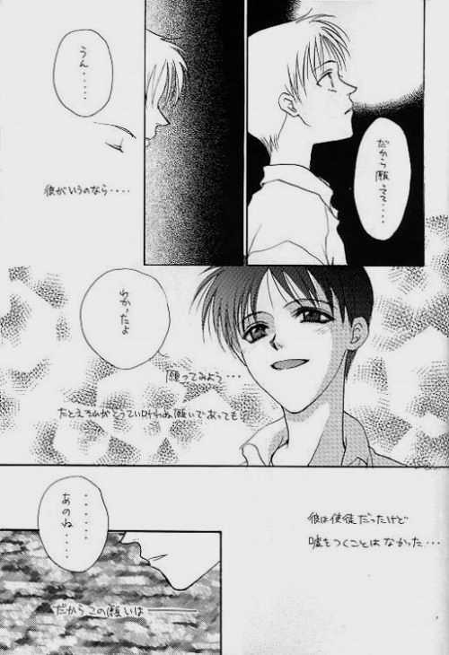 (C51) [Zaougumi (Zaou Taishi)] Lost Sheep (Neon Genesis Evangelion) page 23 full