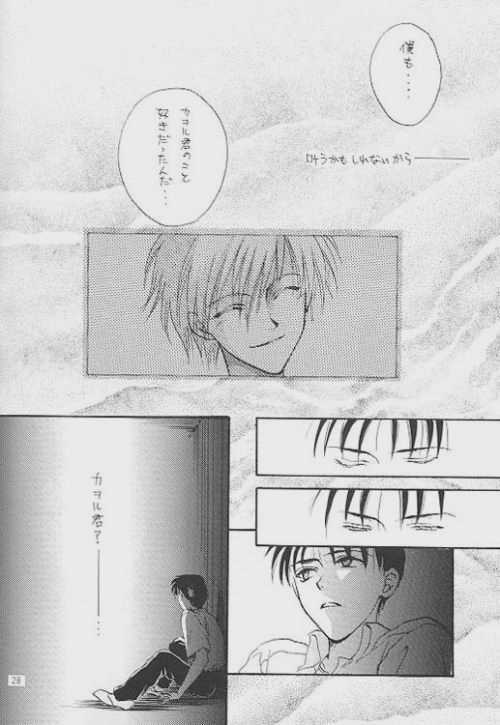 (C51) [Zaougumi (Zaou Taishi)] Lost Sheep (Neon Genesis Evangelion) page 24 full