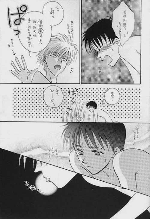 (C51) [Zaougumi (Zaou Taishi)] Lost Sheep (Neon Genesis Evangelion) page 28 full