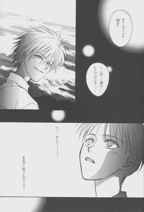 (C51) [Zaougumi (Zaou Taishi)] Lost Sheep (Neon Genesis Evangelion) page 3 full