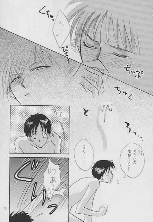 (C51) [Zaougumi (Zaou Taishi)] Lost Sheep (Neon Genesis Evangelion) page 31 full