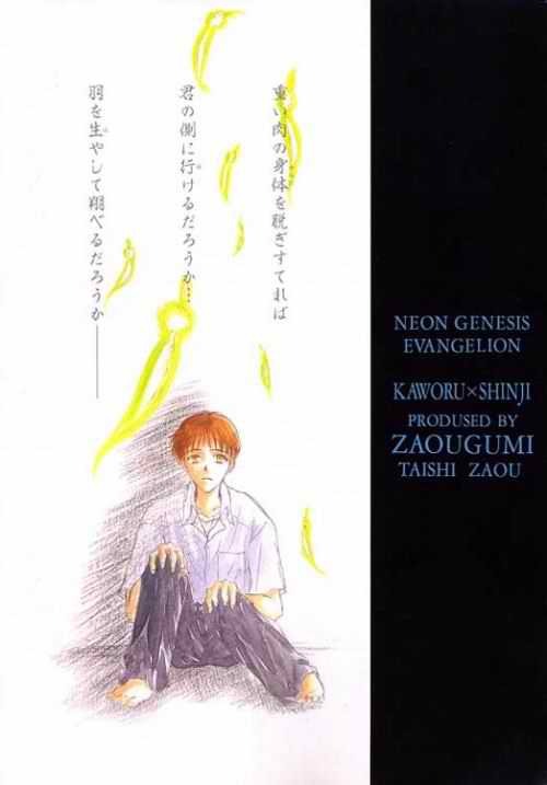 (C51) [Zaougumi (Zaou Taishi)] Lost Sheep (Neon Genesis Evangelion) page 37 full