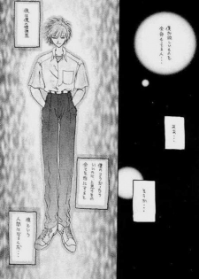 (C51) [Zaougumi (Zaou Taishi)] Lost Sheep (Neon Genesis Evangelion) - page 13