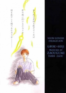 (C51) [Zaougumi (Zaou Taishi)] Lost Sheep (Neon Genesis Evangelion) - page 37