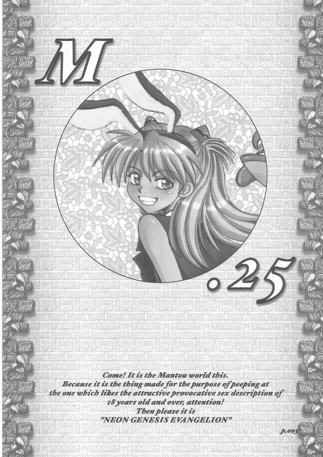 (C67) [Chuuka Mantou (Yagami Dai)] Mantou .25 (Neon Genesis Evangelion) page 5 full