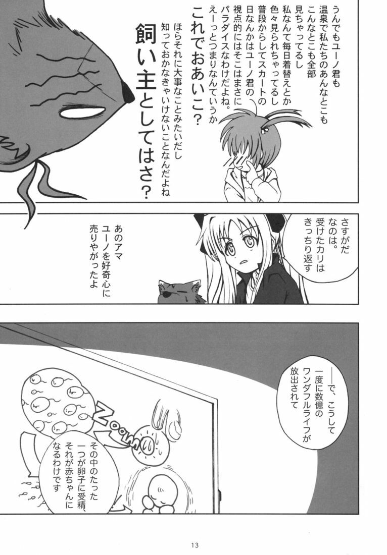 (Nanoha Festival) [Daikokudou (KURO)] Kemono-tachi no Yuuutsu -Kaiteiban- (Mahou Shoujo Lyrical Nanoha) page 12 full