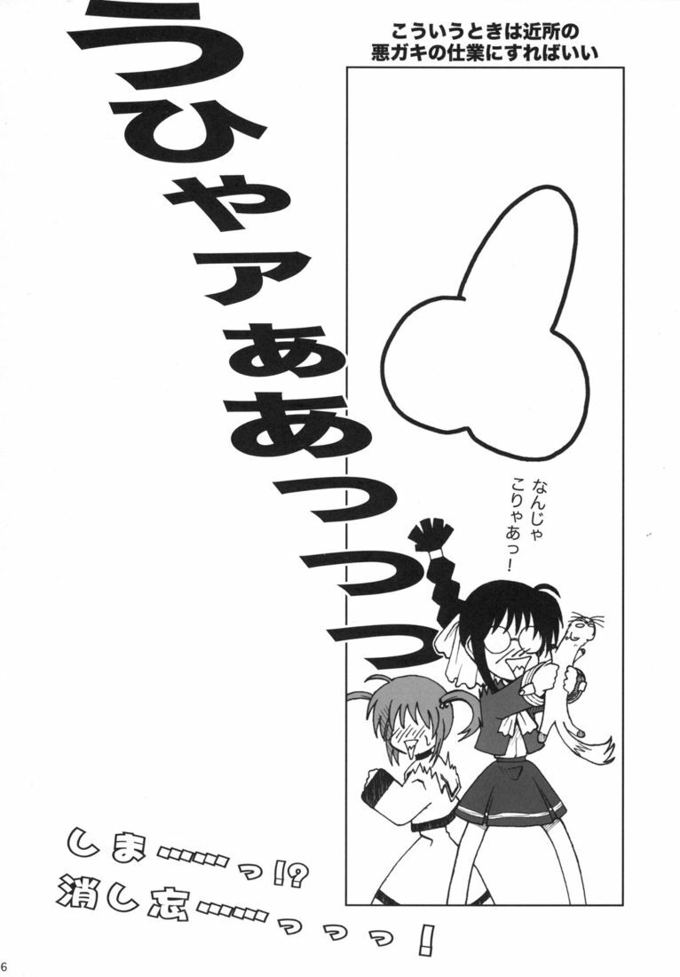 (Nanoha Festival) [Daikokudou (KURO)] Kemono-tachi no Yuuutsu -Kaiteiban- (Mahou Shoujo Lyrical Nanoha) page 25 full