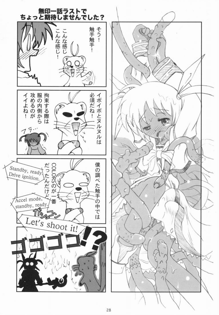 (Nanoha Festival) [Daikokudou (KURO)] Kemono-tachi no Yuuutsu -Kaiteiban- (Mahou Shoujo Lyrical Nanoha) page 27 full