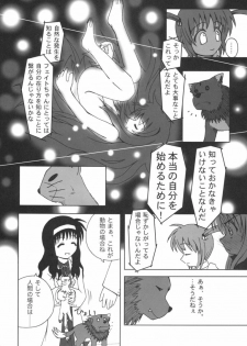 (Nanoha Festival) [Daikokudou (KURO)] Kemono-tachi no Yuuutsu -Kaiteiban- (Mahou Shoujo Lyrical Nanoha) - page 17