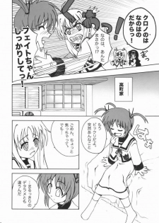 (Nanoha Festival) [Daikokudou (KURO)] Kemono-tachi no Yuuutsu -Kaiteiban- (Mahou Shoujo Lyrical Nanoha) - page 7