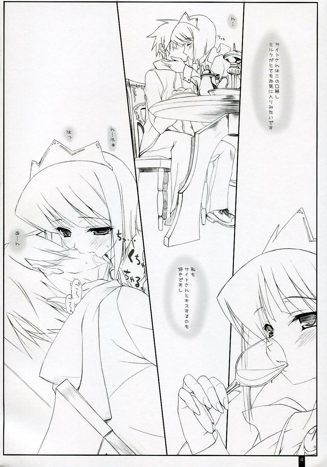 (C72) [Kemokomoya (Komori Kei)] Siesta-san to Petit Dejeuner (Zero no Tsukaima) page 3 full