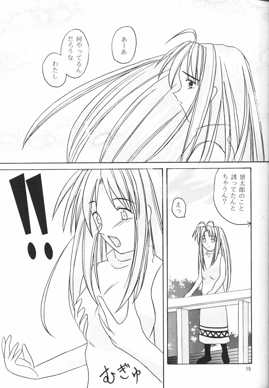 (SC7) [Hikari no Shinden (Koukami Sayana)] Naru Moe 2 (Love Hina) page 13 full