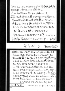 (C70) [Barbarossa (Shinonome Tarou)] Flowers (Street Fighter) - page 28
