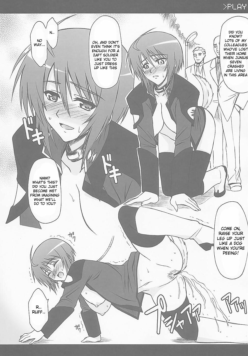 (C67) [Type-G (Ishigaki Takashi)] LUNA:C (Gundam SEED Destiny) [English] [desudesu] page 14 full