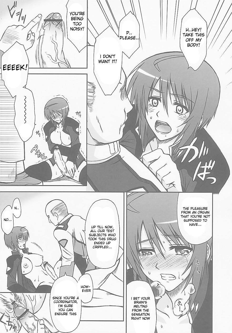 (C67) [Type-G (Ishigaki Takashi)] LUNA:C (Gundam SEED Destiny) [English] [desudesu] page 19 full