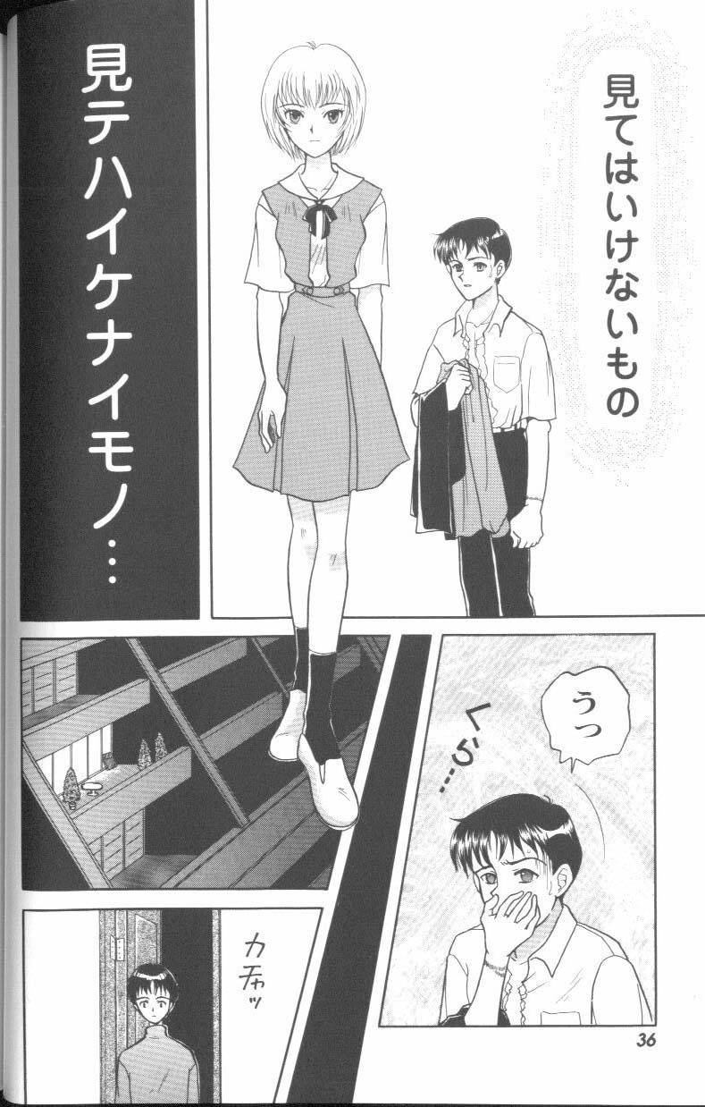 [Anthology] Project E Dainiji Chuukanhoukoku (Neon Genesis Evangelion) page 36 full