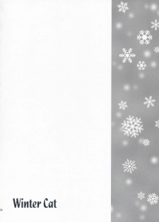 (C71) [AION (Amou Mari)] Winter Cat - page 3