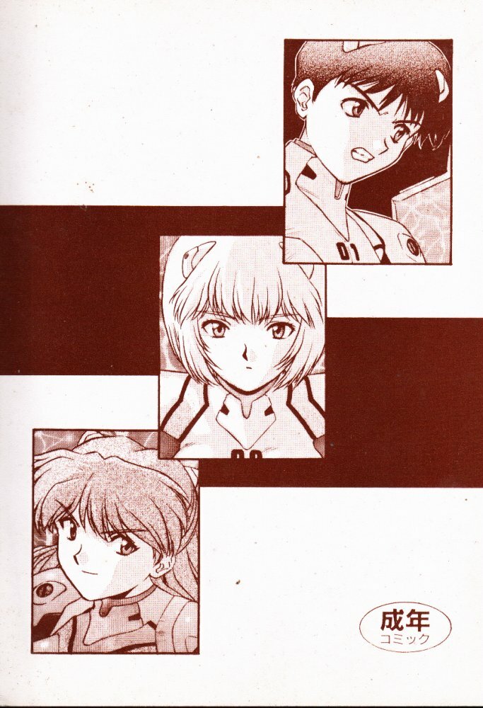 [Studio Kororin (R ARAN)] Mou, Kizutsuite mo ii (Neon Genesis Evangelion) page 2 full