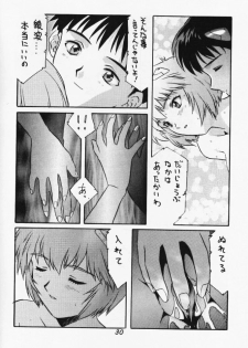 [Studio Kororin (R ARAN)] Mou, Kizutsuite mo ii (Neon Genesis Evangelion) - page 30