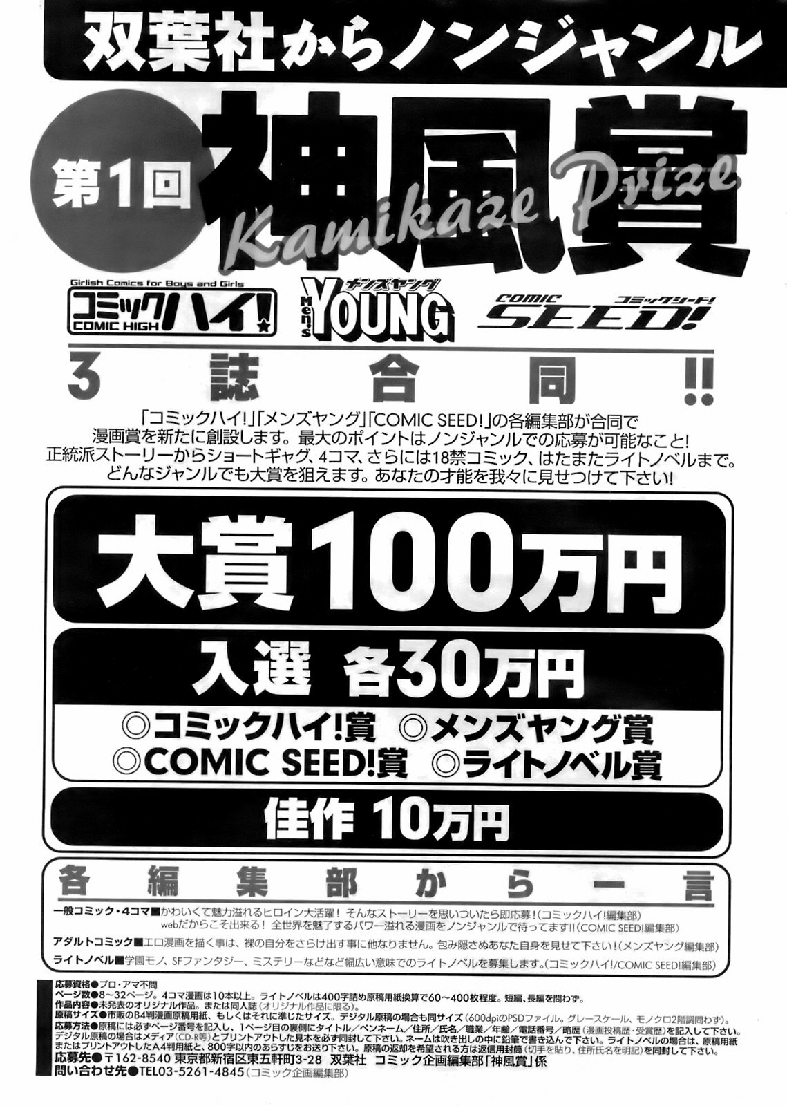 Comic Men's Young 2008-04 page 260 full