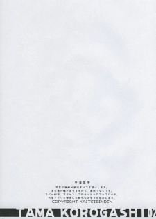 (C69) [Kaiteisinden (Rentaichou)] Tamakorogashi 02 (ToHeart2) - page 2