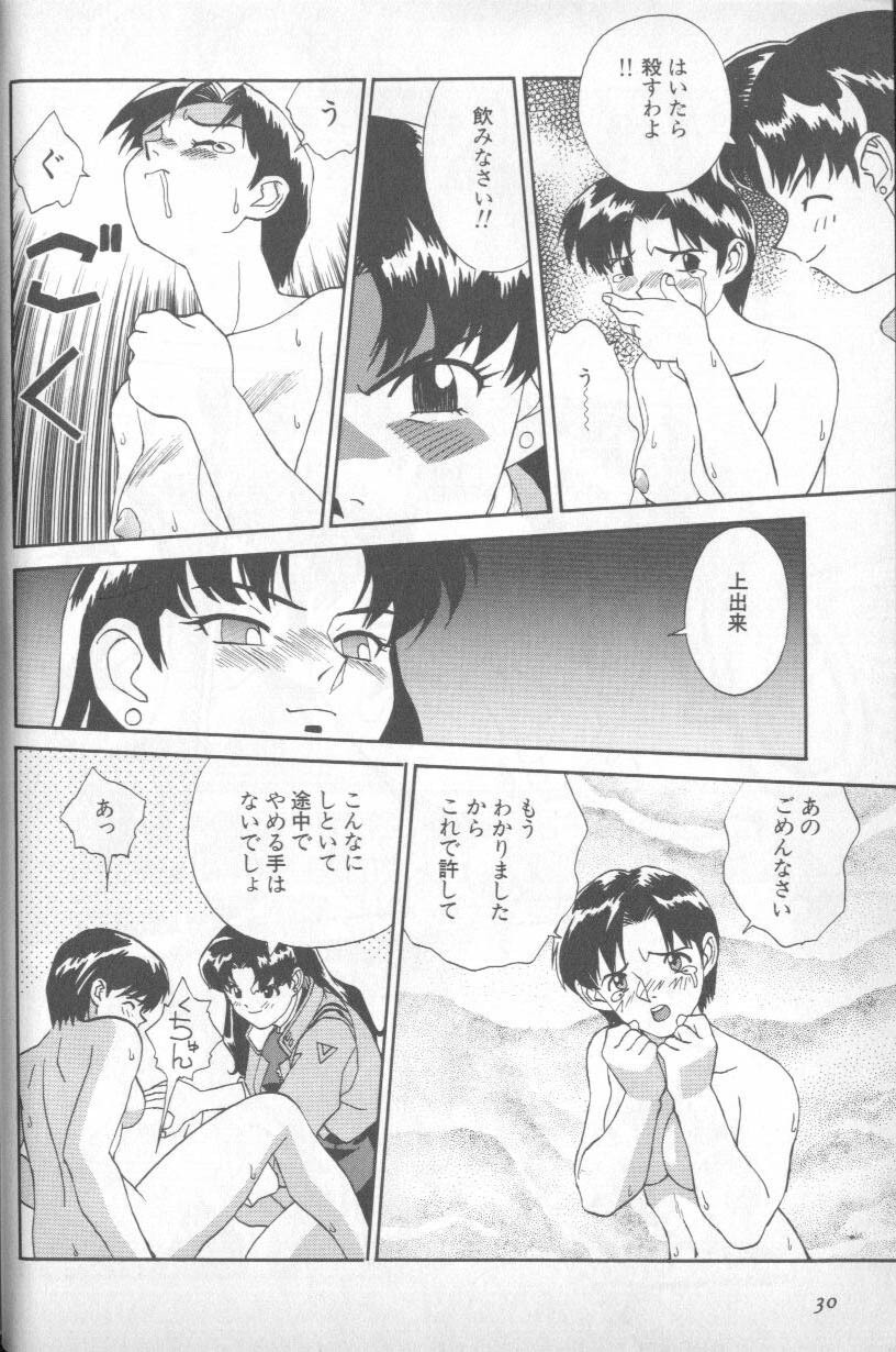 [Anthology] Shitsurakuen 5 | Paradise Lost 5 (Neon Genesis Evangelion) page 28 full