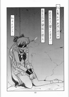 [Effecter (Various)] Katsugeki Nyan Nyan (Bishoujo Senshi Sailor Moon) - page 42