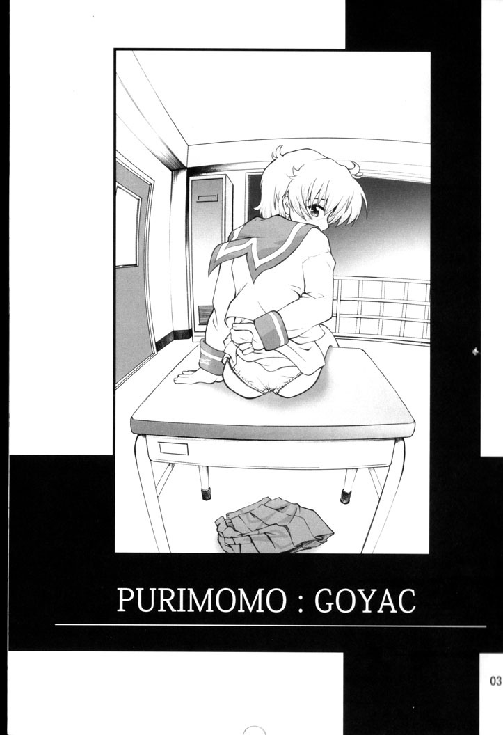 (C67) [PURIMOMO (Goyac)] Nenene's Doujinshi Panic!! 2 (Read or Die) page 2 full